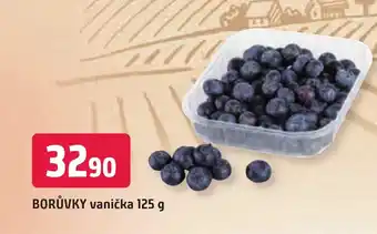 Trefa BORŮVKY vanička 125 g nabídka