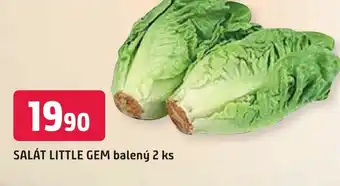Trefa SALÁT LITTLE GEM balený 2 ks nabídka