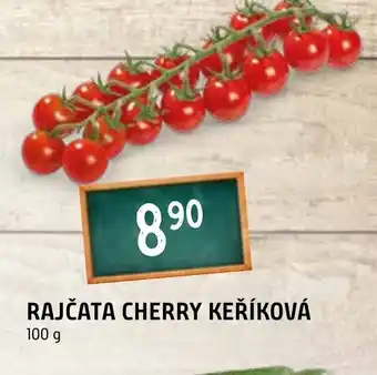 Terno RAJČATA CHERRY KEŘÍKOVÁ nabídka