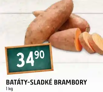 Terno BATÁTY-SLADKÉ BRAMBORY nabídka