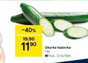 Tesco Okurka hadovka nabídka
