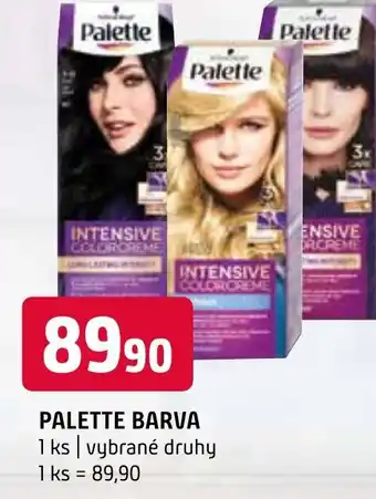 Terno PALETTE BARVA nabídka