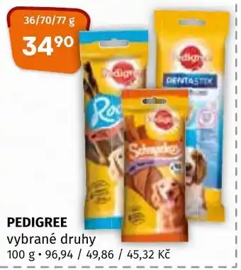 Terno PEDIGREE nabídka