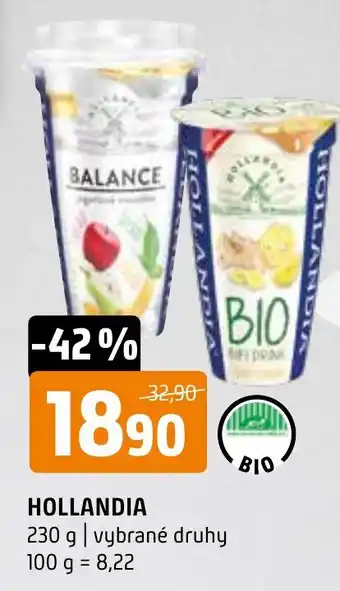Terno HOLLANDIA nabídka