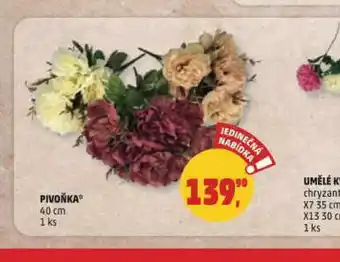 Penny Market Pivoňka nabídka