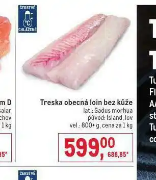 Makro Treska obecná ioin bez kůže nabídka