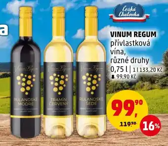 Penny Market VINUM REGUM nabídka