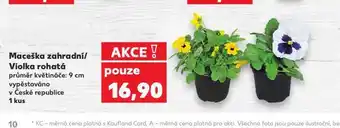 Kaufland Violka rohatá nabídka