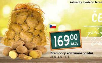 Terno Brambory konzumní pozdní nabídka