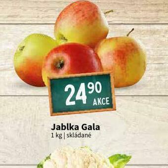 Terno Jablka gala nabídka