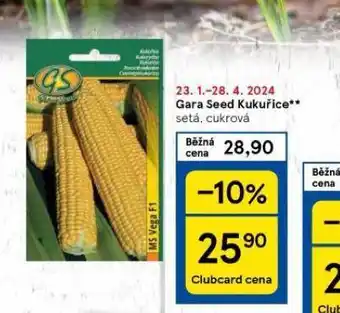 Tesco Gara seed kukuřice nabídka