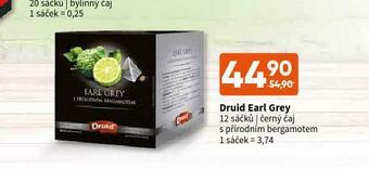 Terno Druid earl grey nabídka