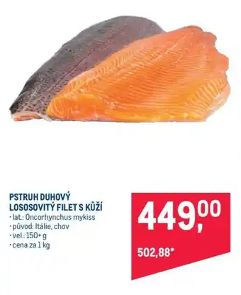 Makro PSTRUH DUHOVÝ LOSOSOVITÝ FILET S KŮŽÍ nabídka