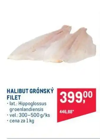 Makro HALIBUT GRÓNSKÝ FILET nabídka