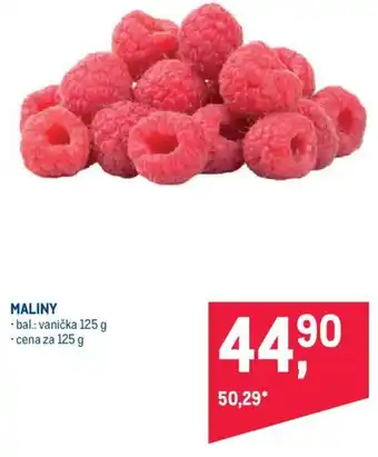 Makro MALINY nabídka