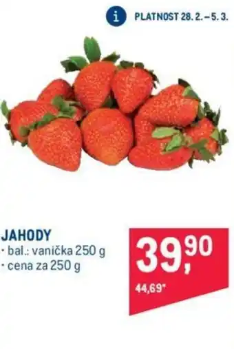 Makro JAHODY nabídka