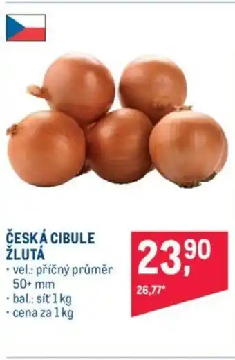 Makro ČESKÁ CIBULE ŽLUTÁ nabídka