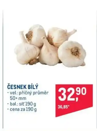 Makro ČESNEK BÍLÝ nabídka