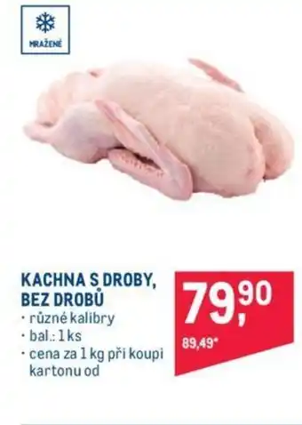 Makro KACHNA S DROBY, BEZ DROBŮ nabídka