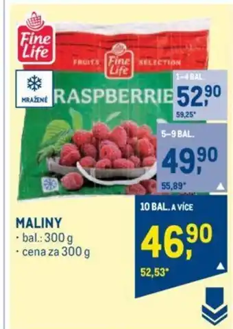 Makro MALINY nabídka