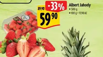 Albert Albert Jahody nabídka