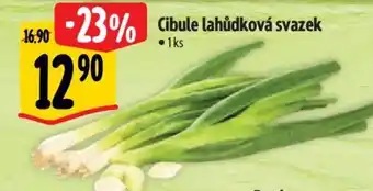 Albert Cibule lahůdková svazek nabídka