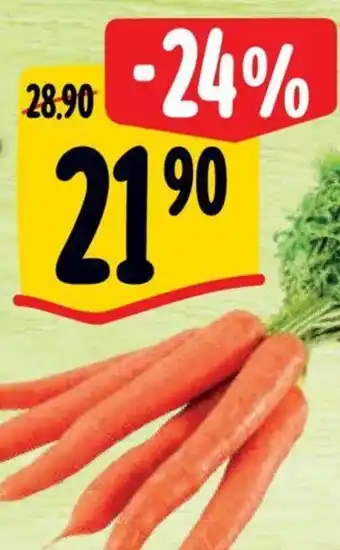 Albert Mrkev svazek nabídka