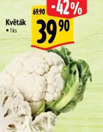 Albert Květák nabídka
