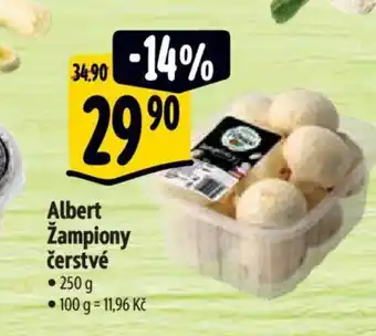 Albert Albert Žampiony čerstvé nabídka