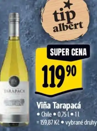 Albert Viña Tarapacá nabídka