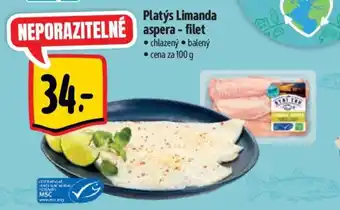 Albert Platýs Limanda aspera - filet nabídka