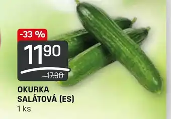 Flop OKURKA SALÁTOVÁ (ES) nabídka