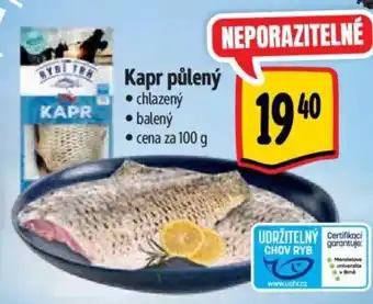 Albert Kapr půlený nabídka
