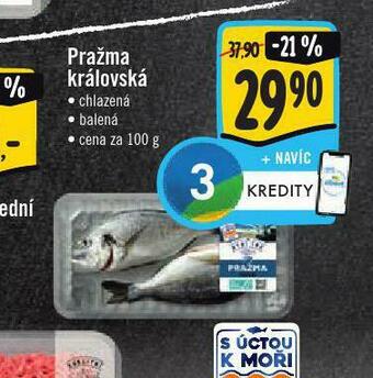 Jip Pražma královská nabídka