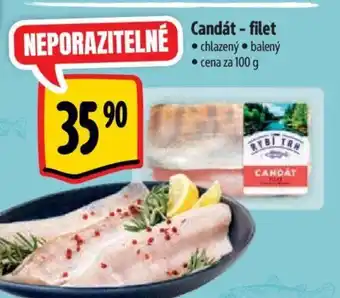 Albert Candát - filet nabídka