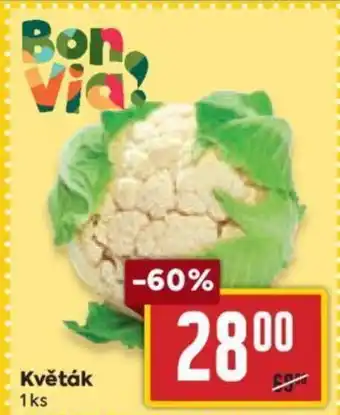 Billa Květák nabídka