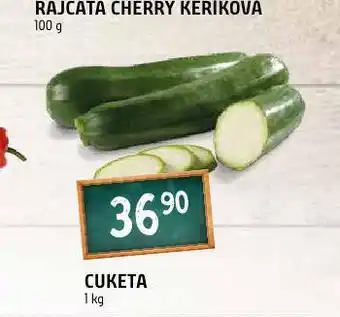 Terno Cuketa nabídka