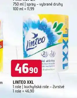 Terno Linteo xxl kuchyňské role nabídka