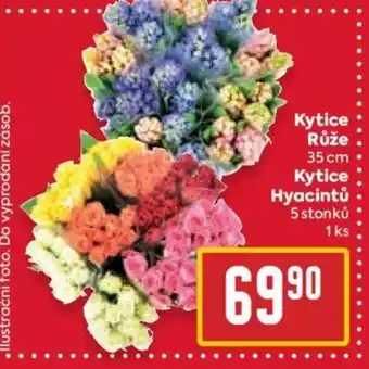 Billa Kytice Růže nabídka