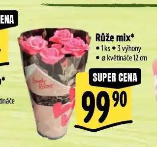 Albert Růže mix nabídka