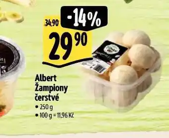Albert Žampiony čerstvé nabídka