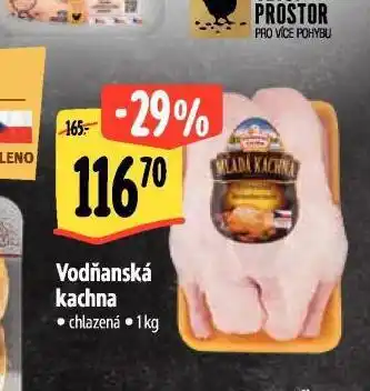 Albert Vodňanská kachna nabídka