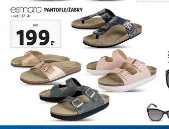 Lidl Pantofle / žabky nabídka