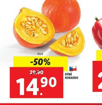 Lidl Dýne hokaido nabídka