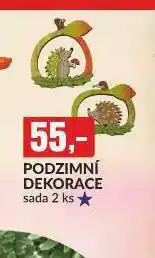 Baumax Podzimní dekorace nabídka