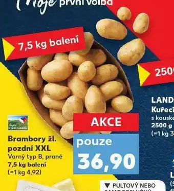 Konzumni Brambory Kaufland (které jsou, brambor které, brambor může, Brambor Typu) Konzumni Brambory Kaufland