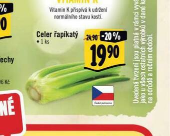 Albert Celer řapíkatý nabídka