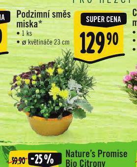 Albert Podzimní směs miska nabídka