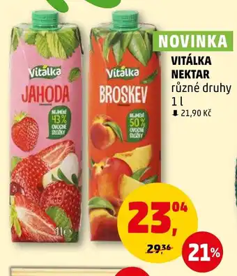 Penny Market VITÁLKA NEKTAR nabídka