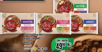 Tamda Foods Purina One Mini kapsičky MP 4x85g nabídka
